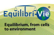 Equilibri-Vie