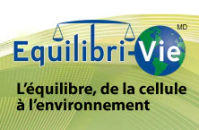 Equilibri-Vie